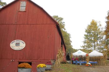 Maple Breeze Farm