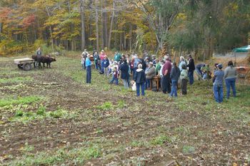 Maple Breeze Farm