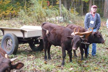 Maple Breeze Farm